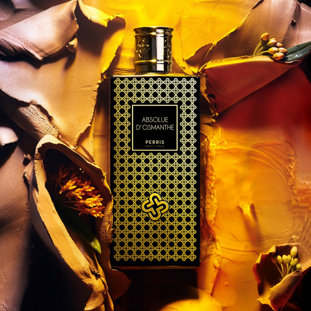 Absolue D&