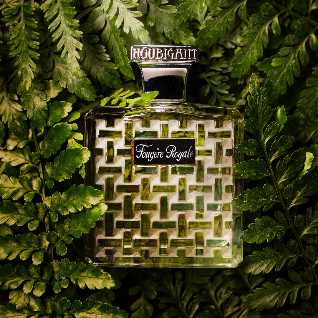 Fougère Royale