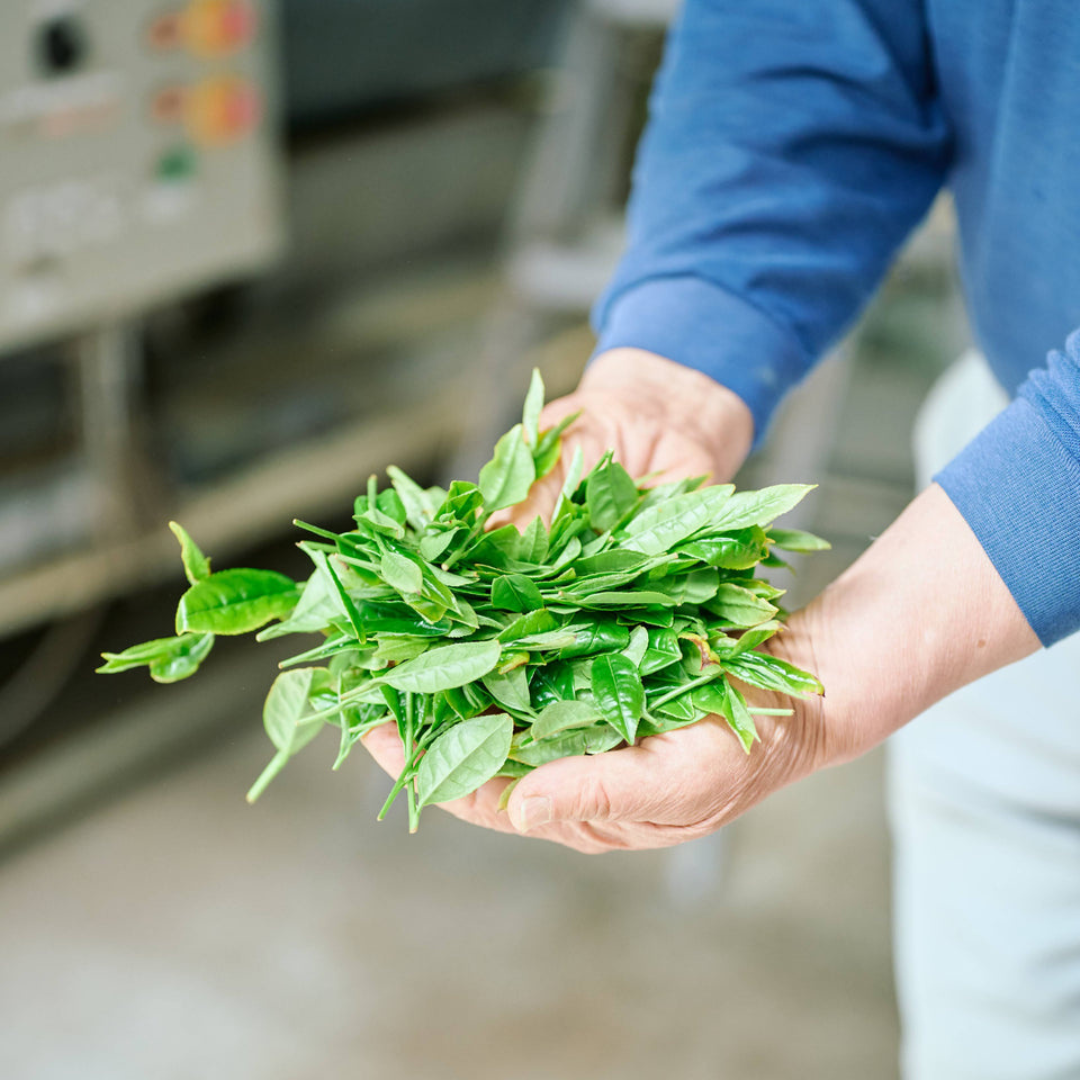 Genmaicha Powder