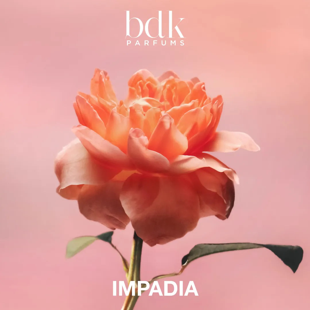 Impadia
