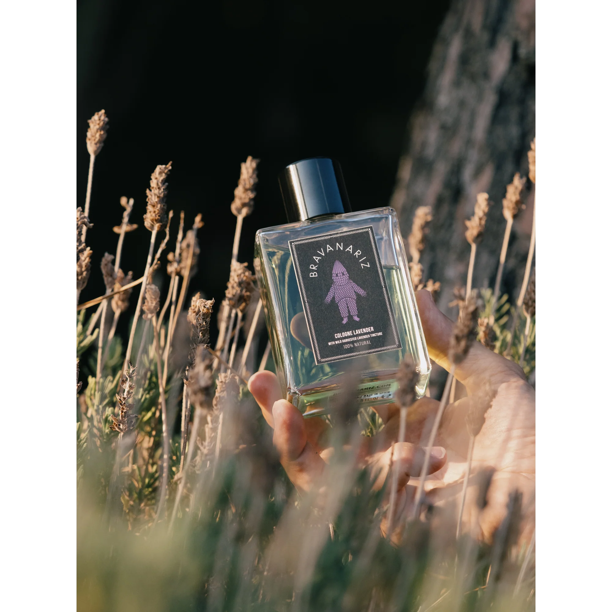 Cologne Lavanda Bravanariz