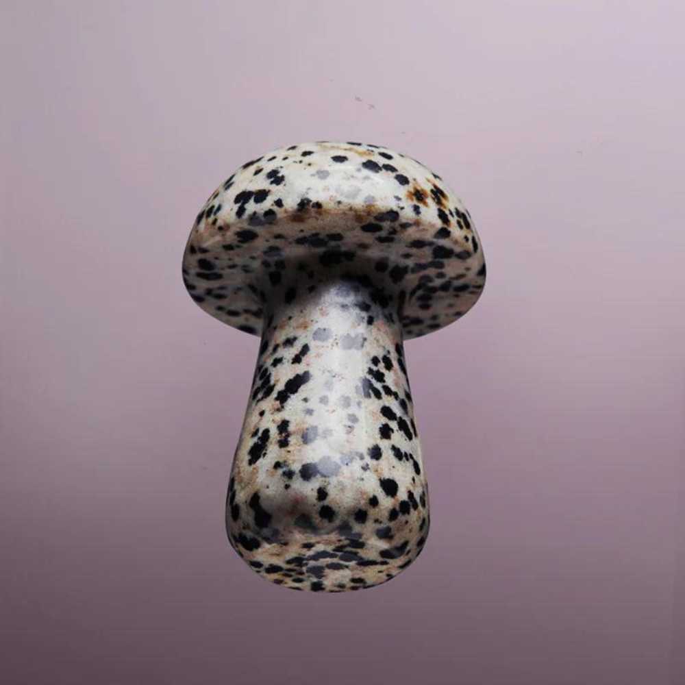 The Gua-Shroom Herbar