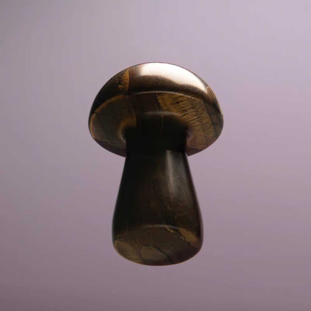 The Gua-Shroom Herbar