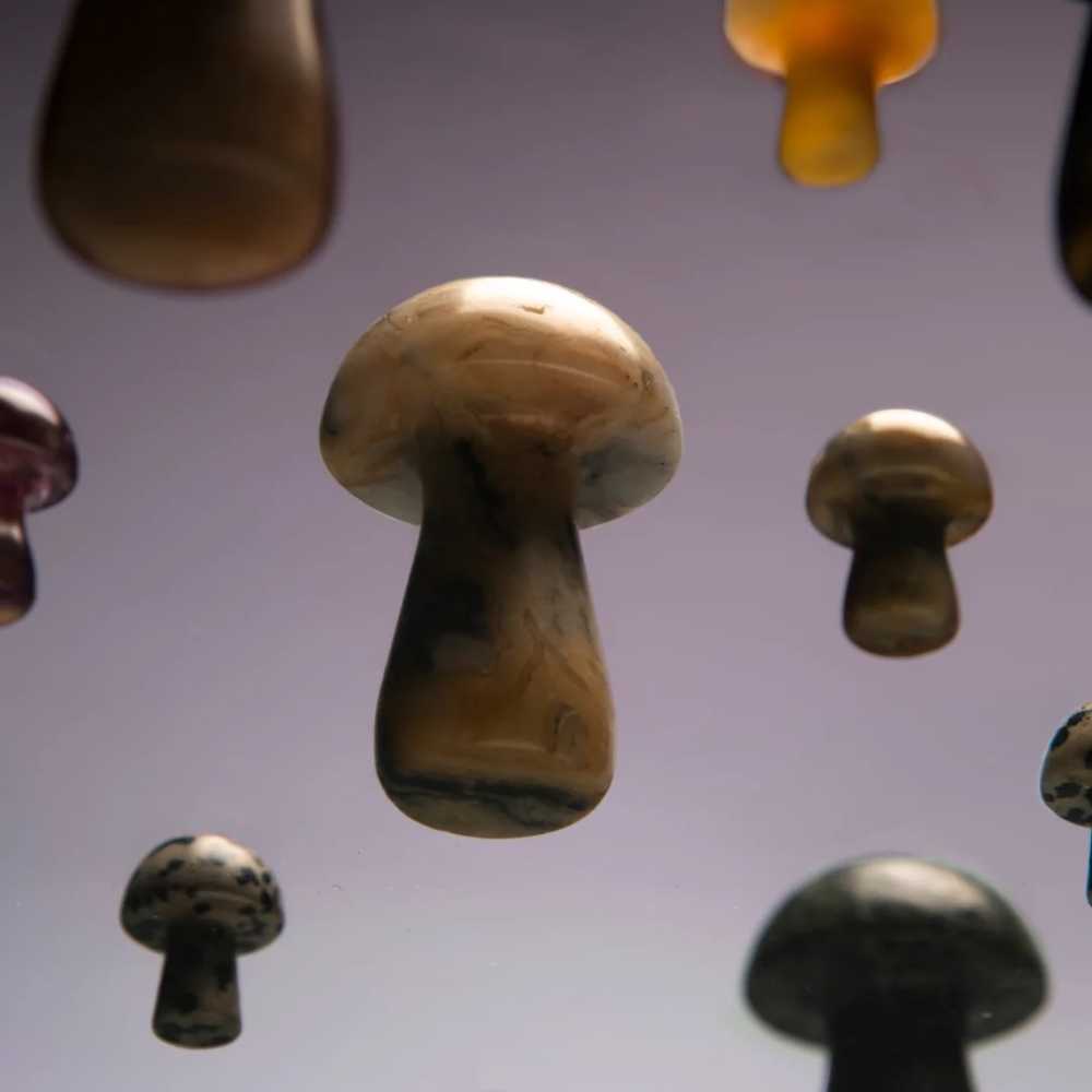 The Gua-Shroom Herbar
