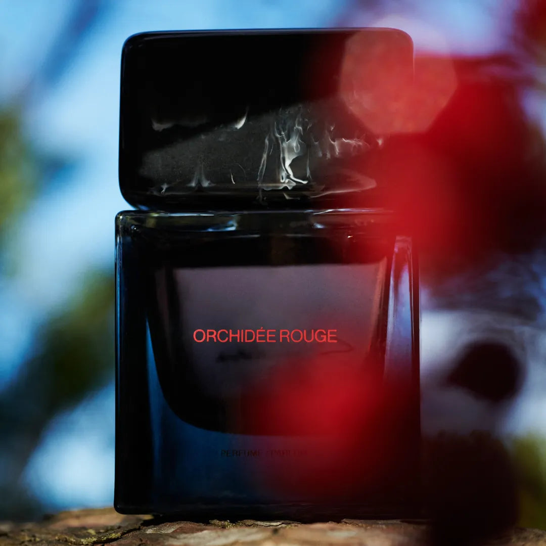 Orchidée Rouge