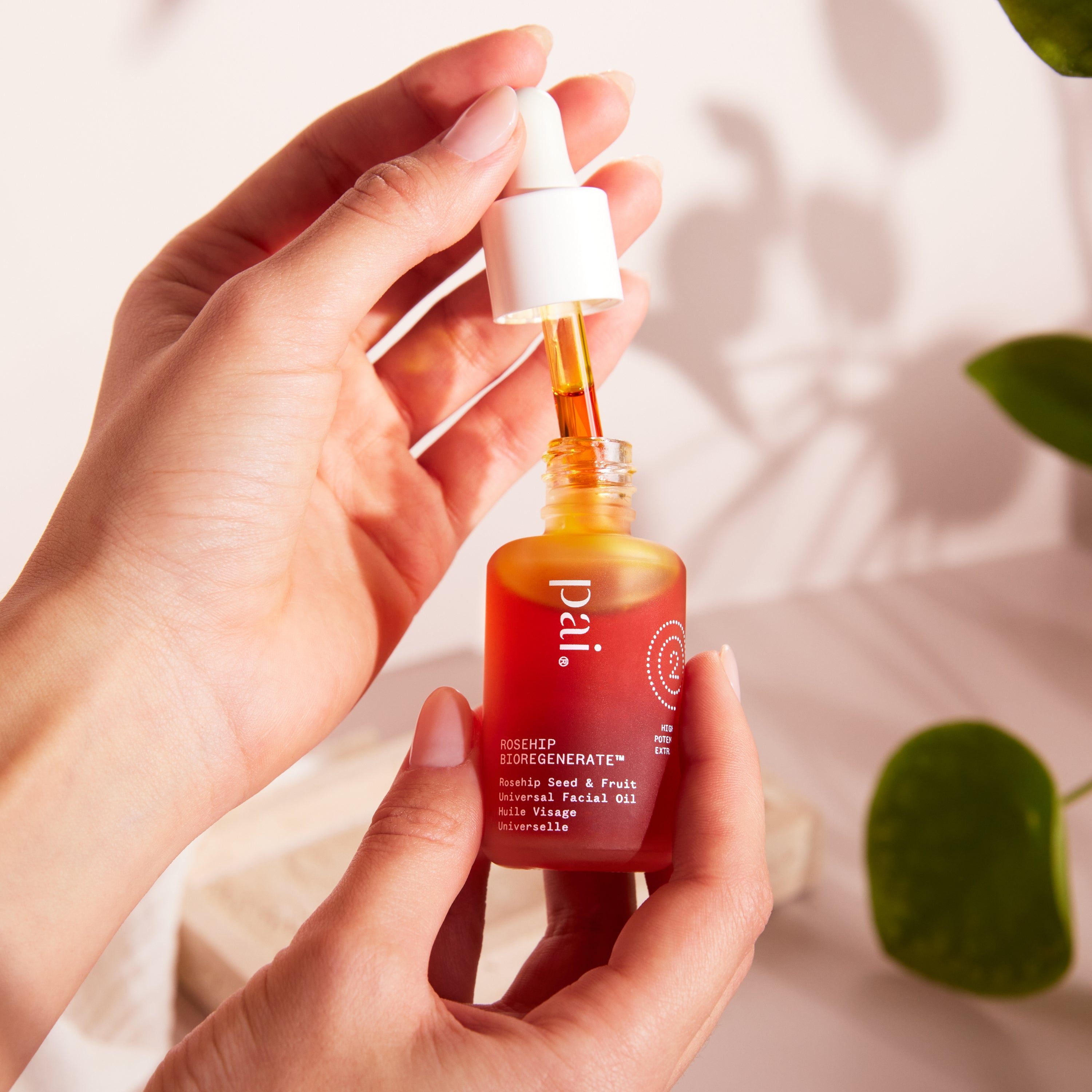 Rosehip Bioregenerate Face Oil