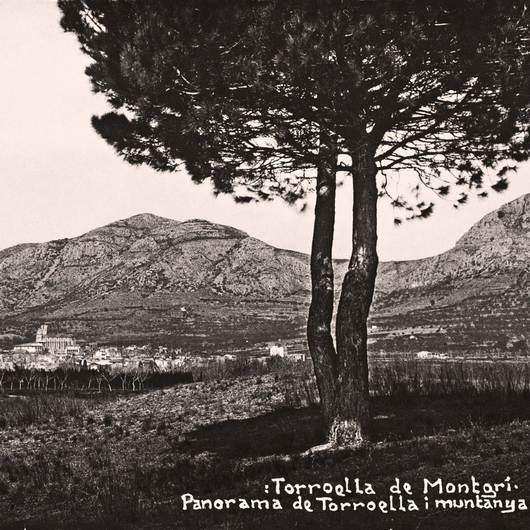 Torroella de Montgrí