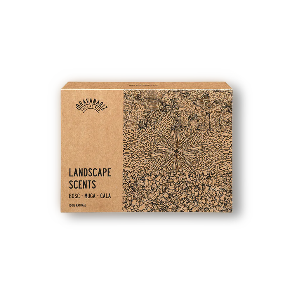 Olfactory Bravanariz
