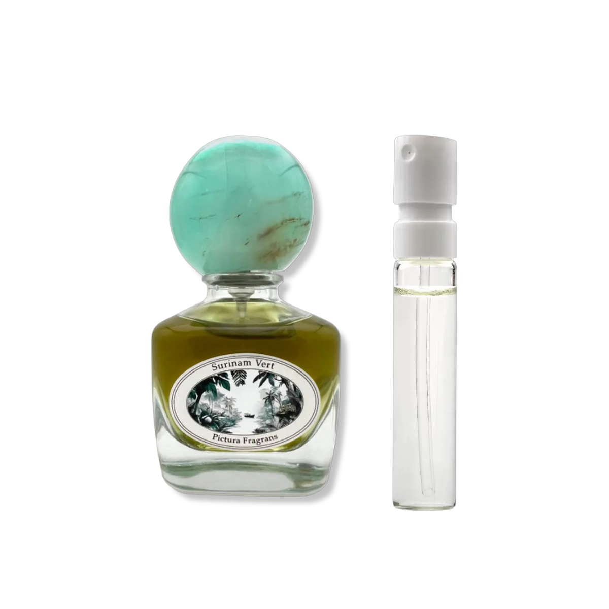 Pictura Fragrans - Surinam Vert - muestra