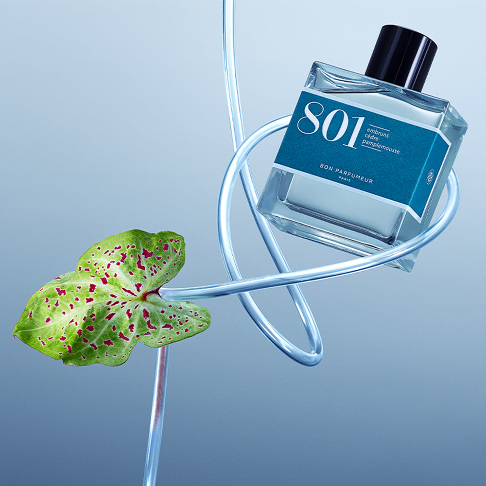 801 | Sea spray, Cedar, Grapefruit Bon Parfumeur