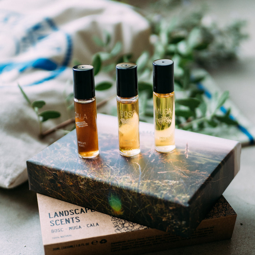 Olfactory Bravanariz