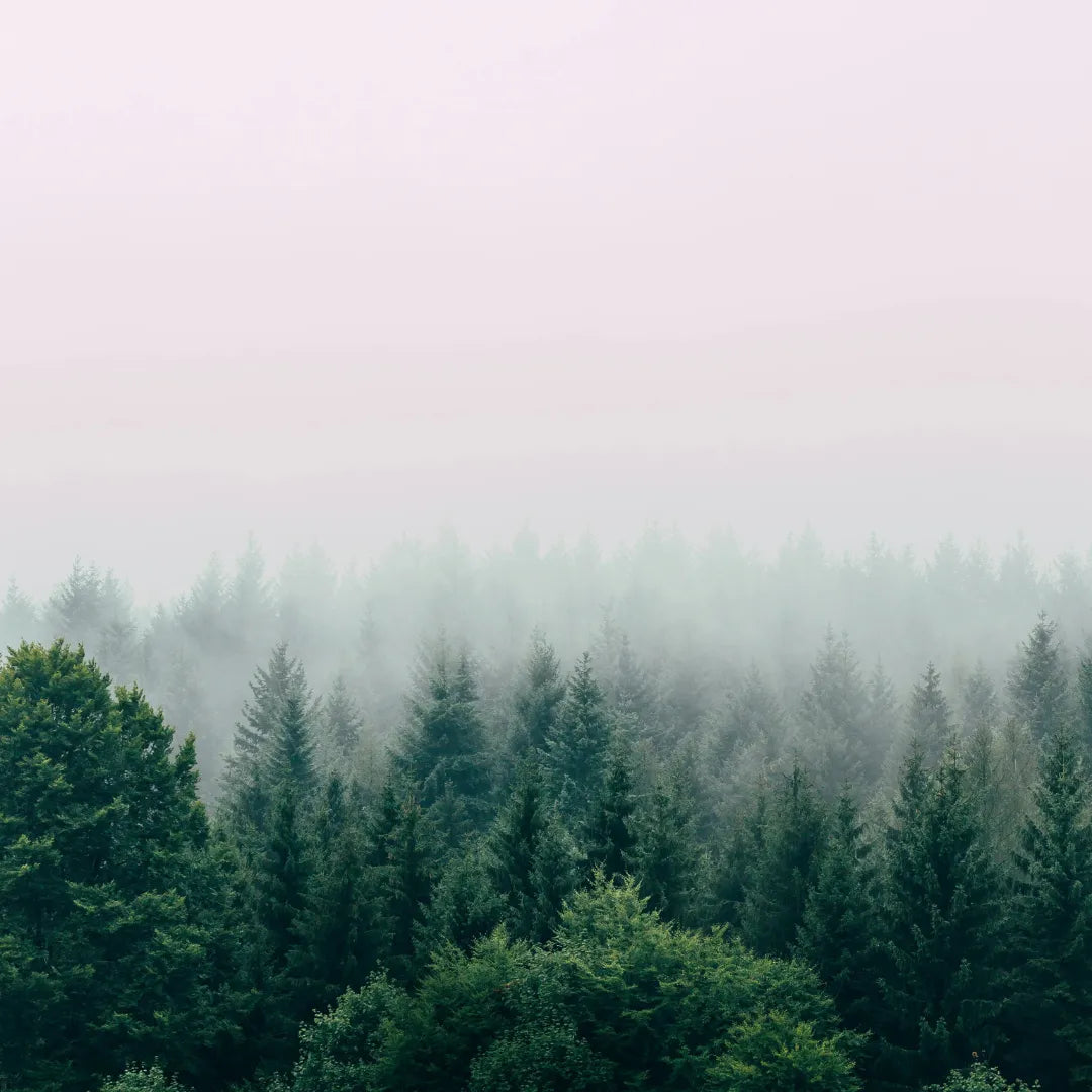 Breathe