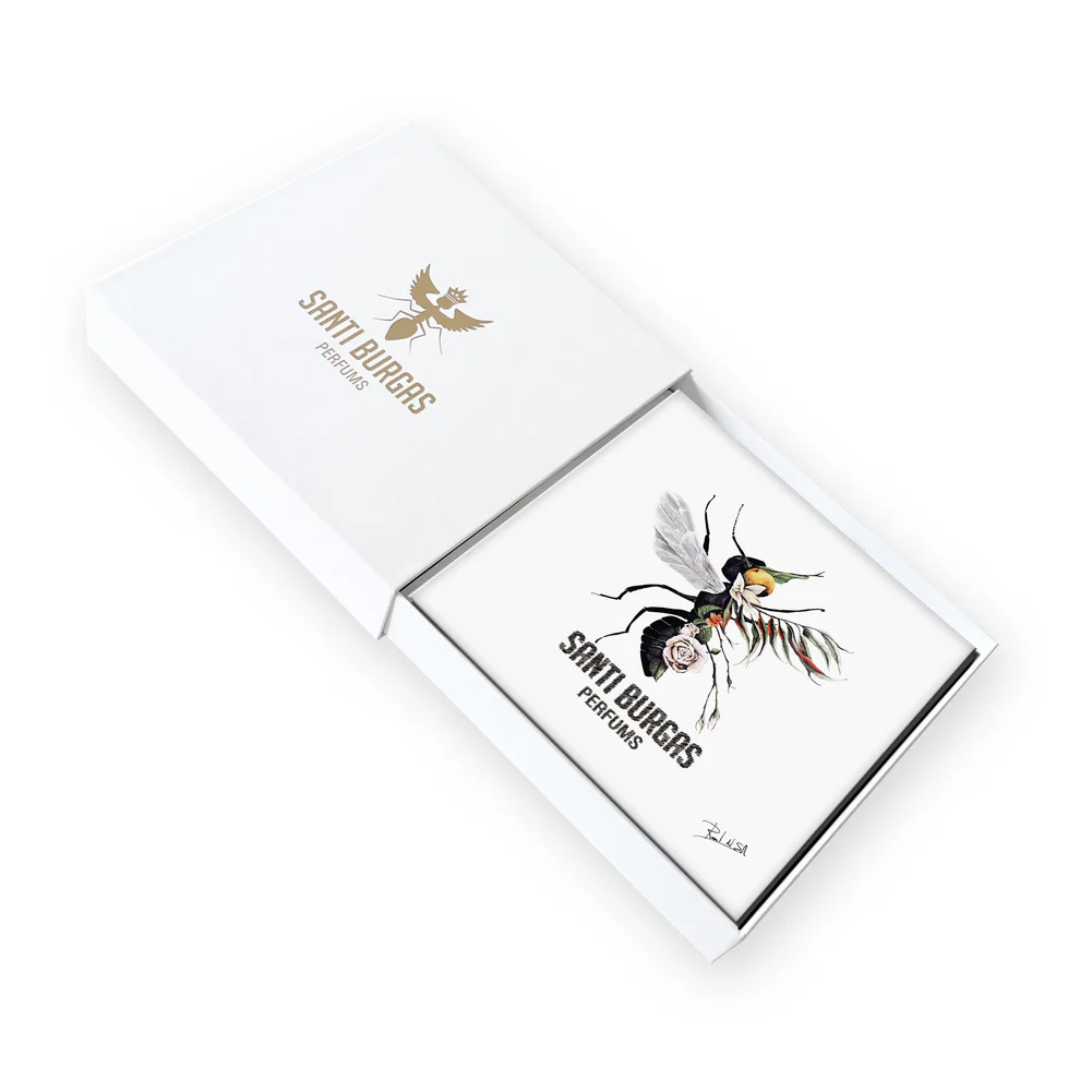 Discovery Kit "White Collection" - Santi Burgas