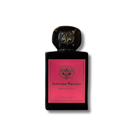 Lorenzo Pazzaglia - Extreme Passion