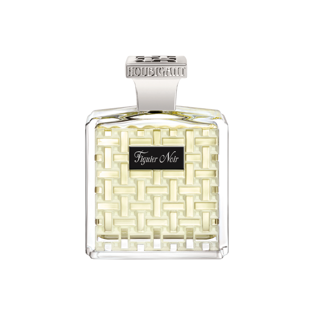 Figuier Noir