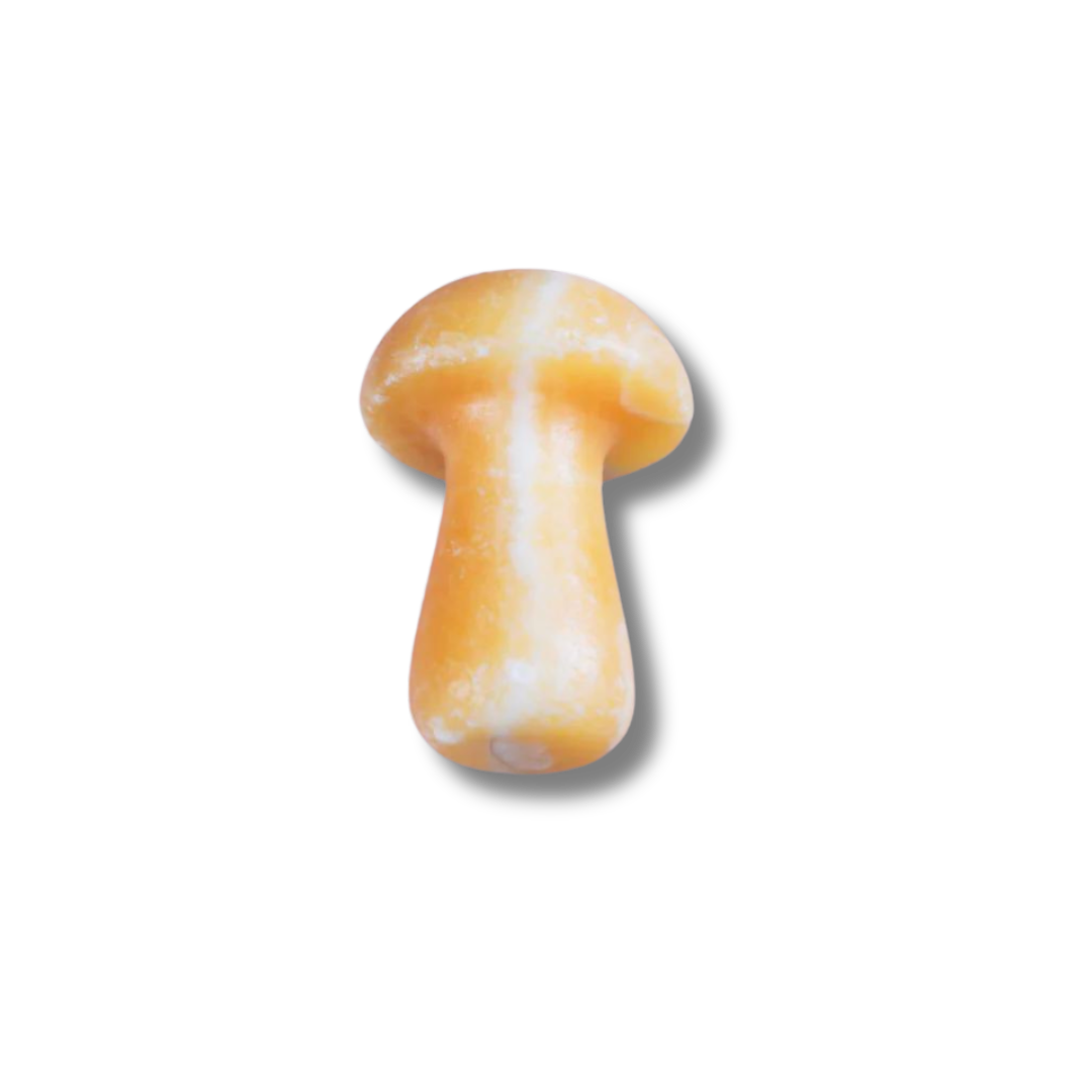 The Gua-Shroom