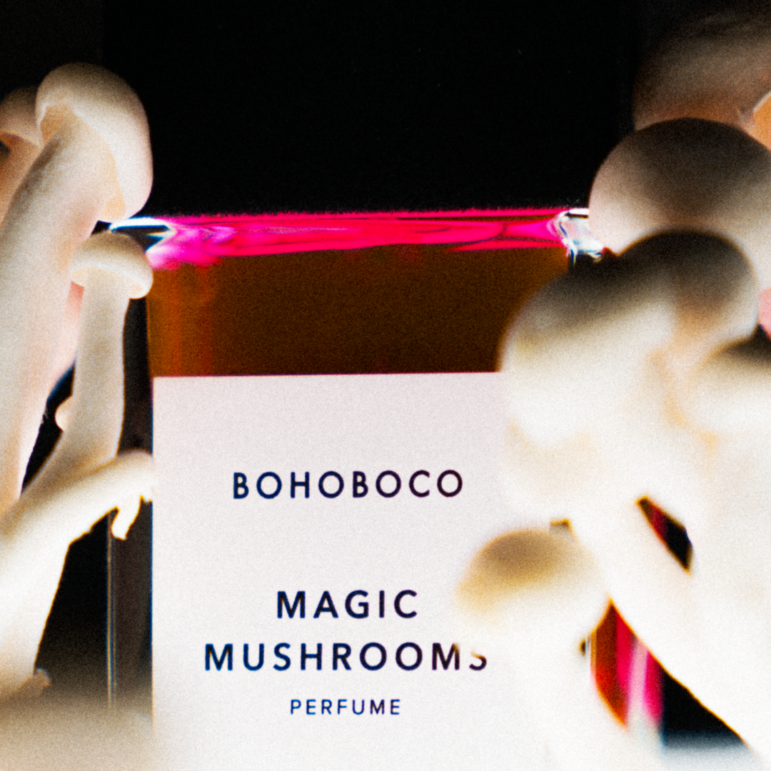 Magic Mushrooms
