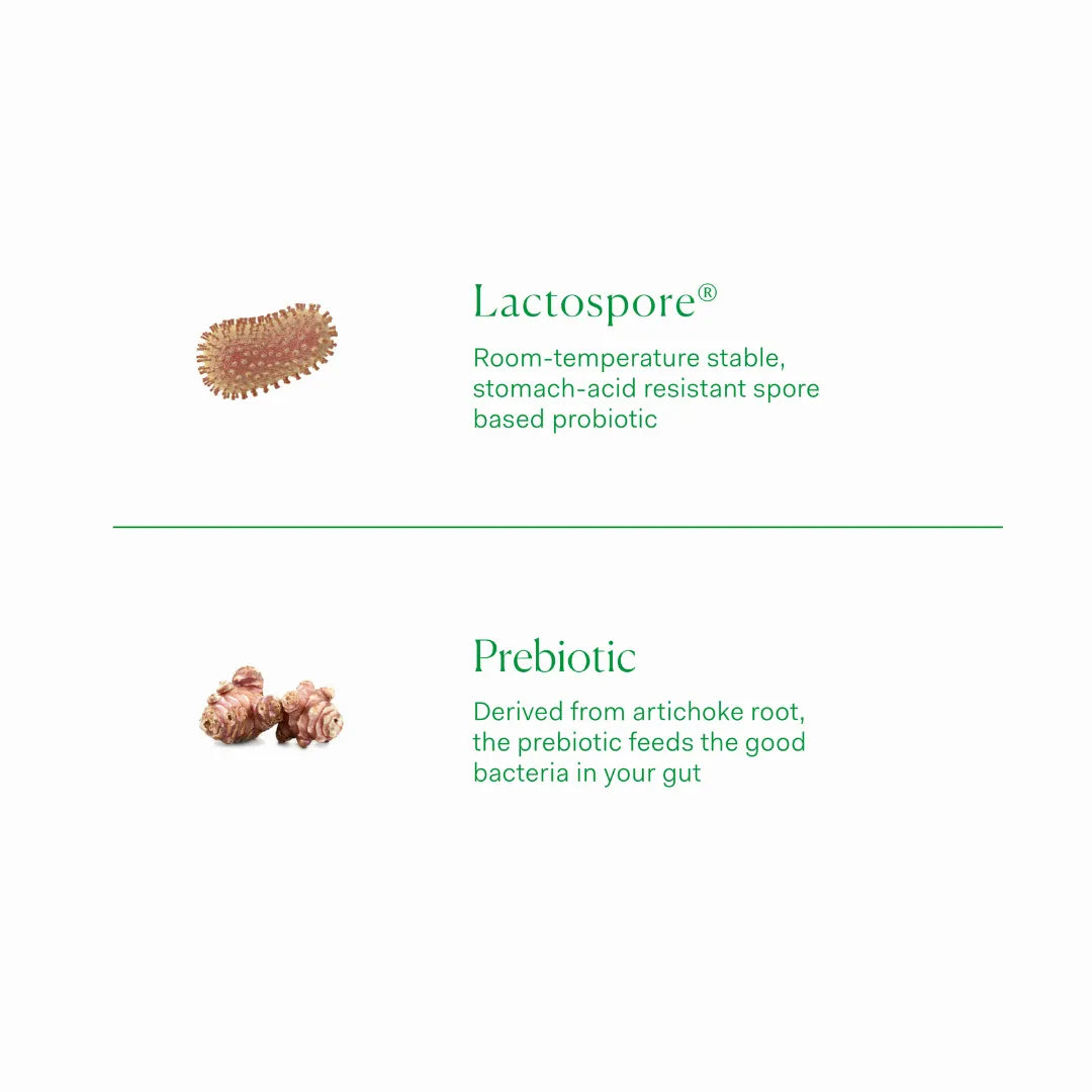 Gut Health - Prebiotic + Probiotic