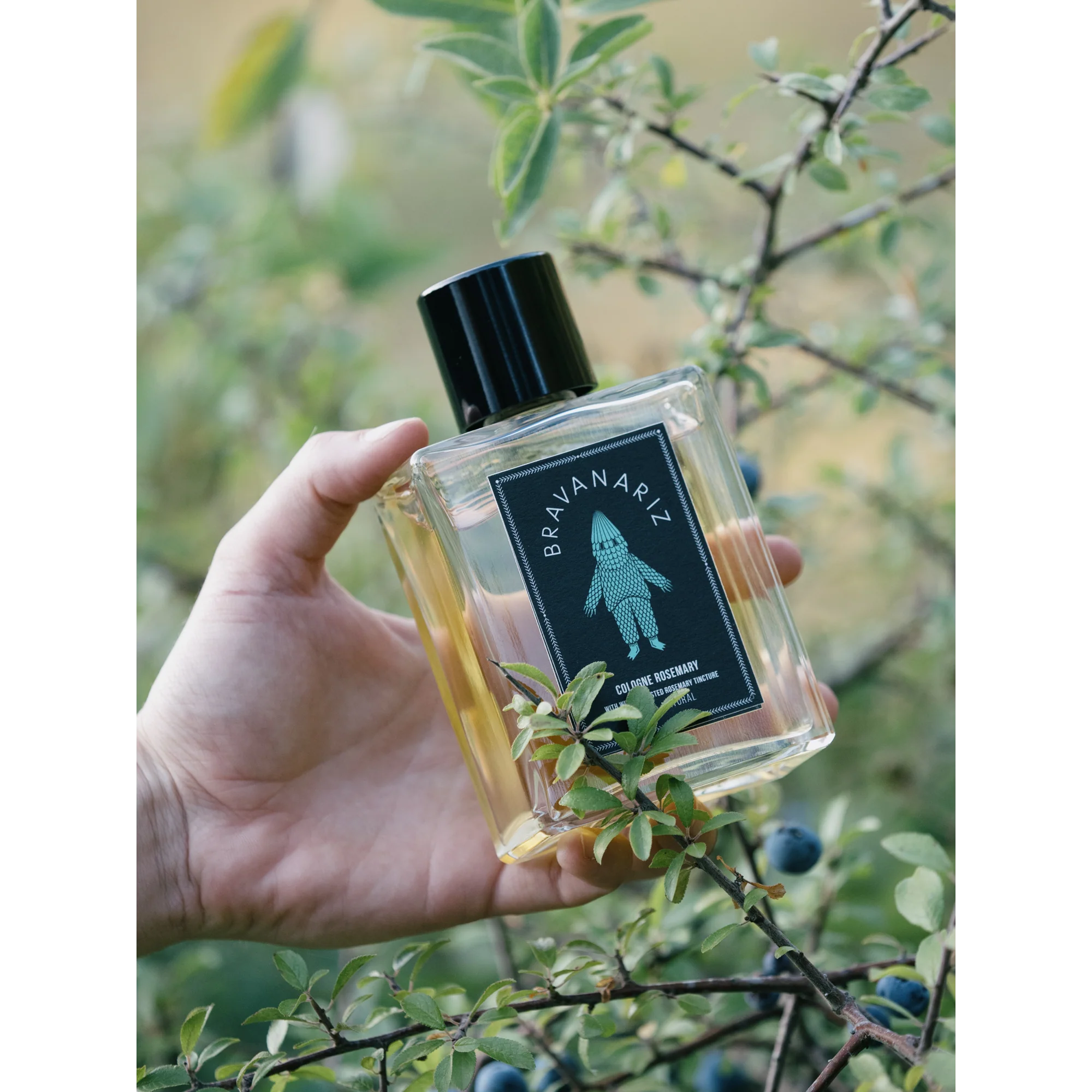 Cologne Rosemary Bravanariz
