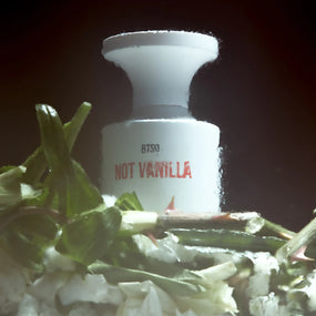 Not Vanilla –  Eau de Parfum Born To Stand Out