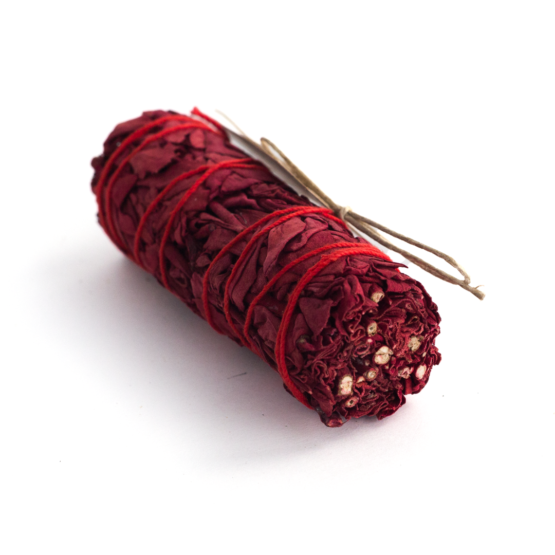 Salvia Blood Dragon