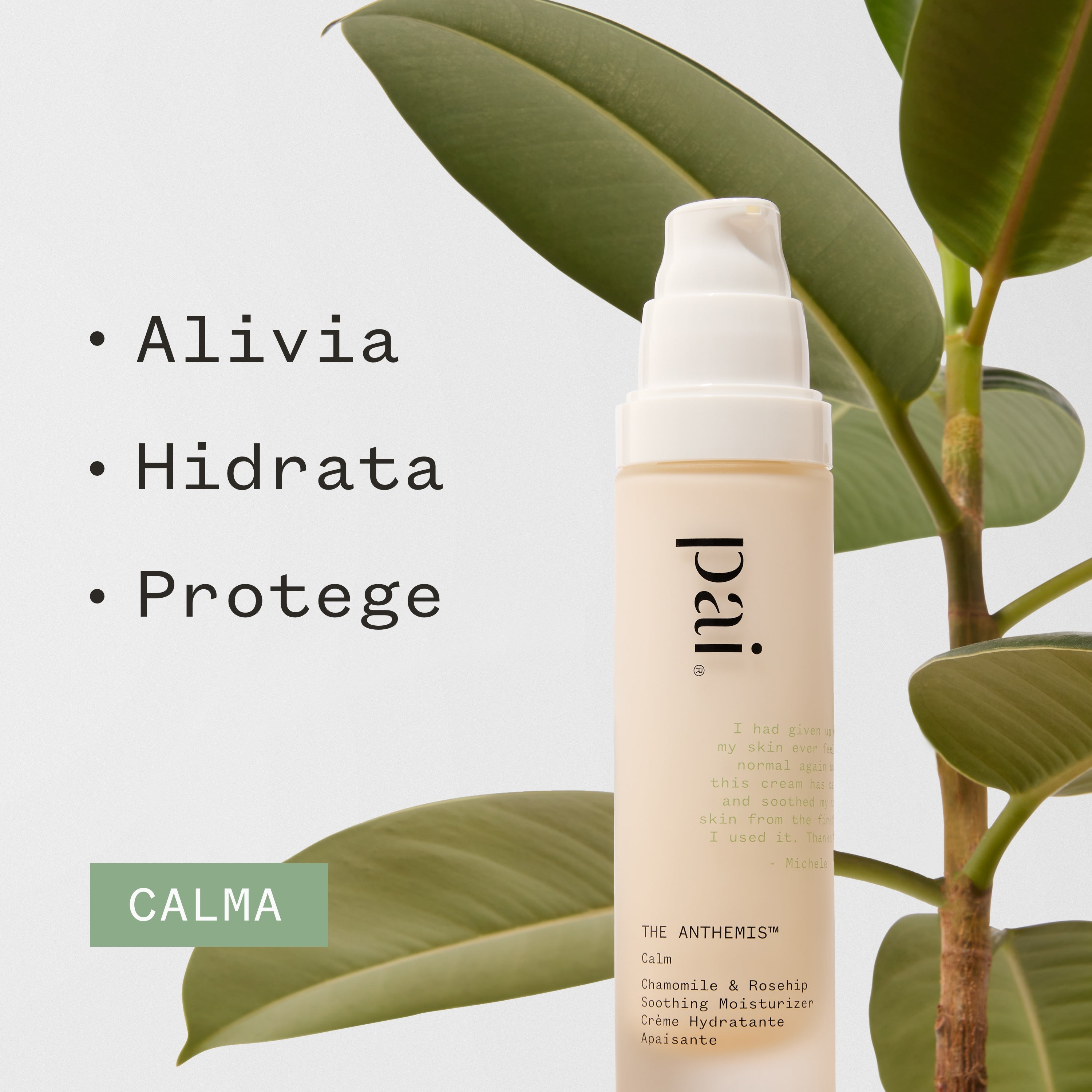 The Anthemis Soothing Moisturizer