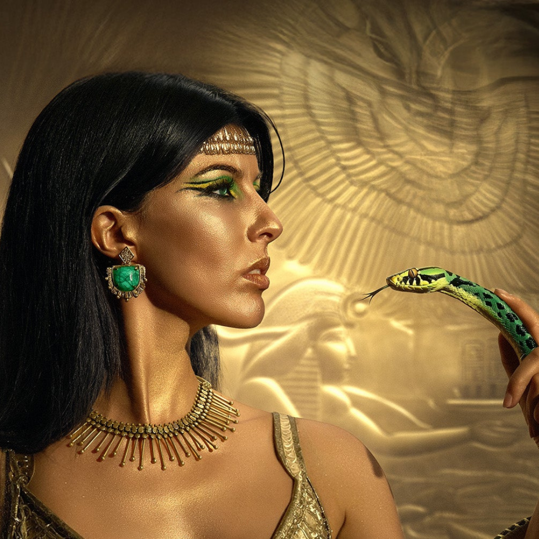 The Queen And The Viper