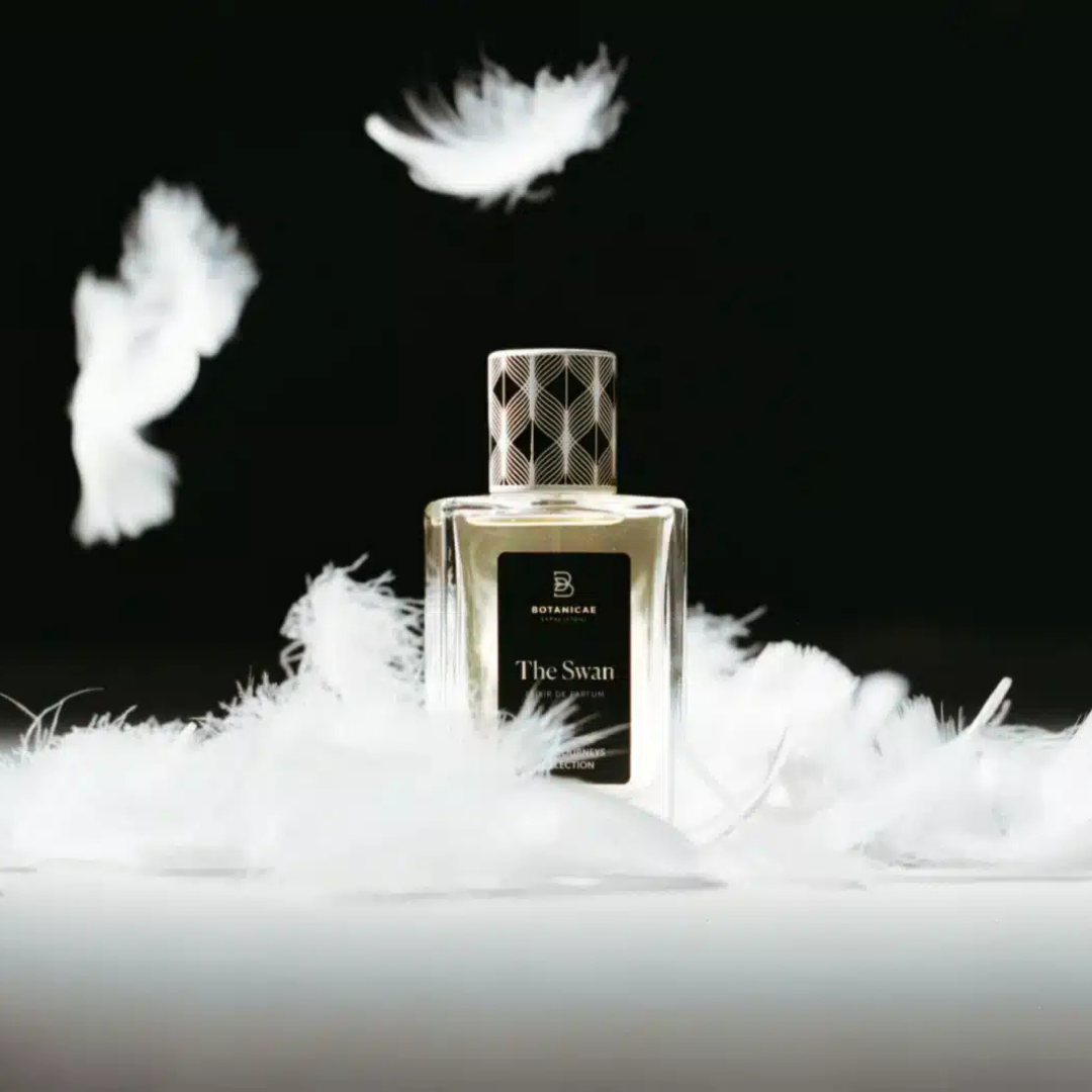 The Swan