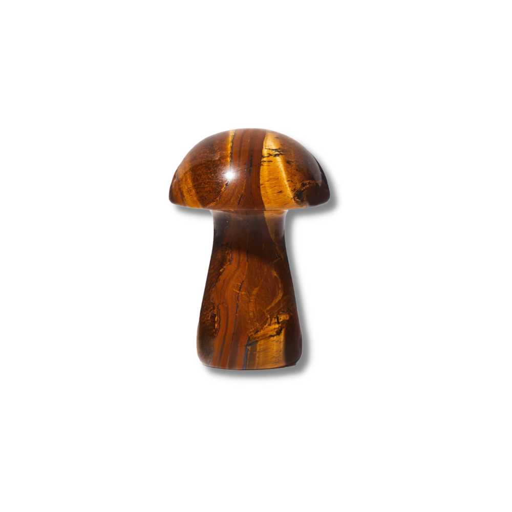 The Gua-Shroom Herbar