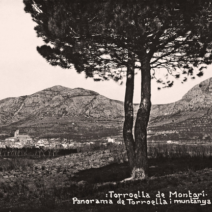 Torroella de Montgrí