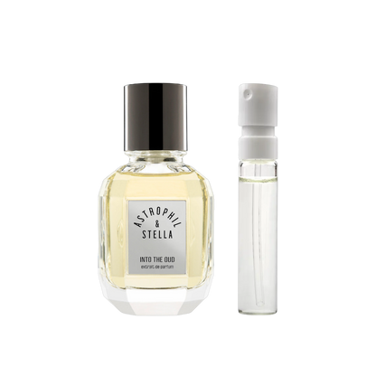 Astrophil &amp; Stella - Into The Oud - muestra