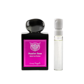 Lorenzo Pazzaglia - Passion Rose - muestra