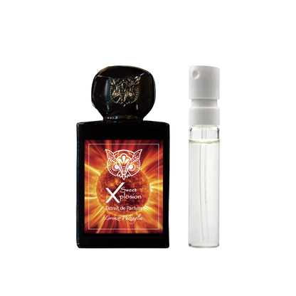 Lorenzo Pazzaglia - Sweet Xplosion - muestra