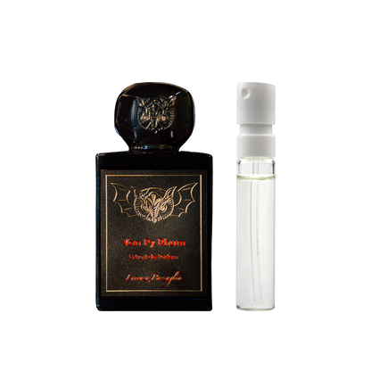 Lorenzo Pazzaglia - Van Py Rhum - muestra