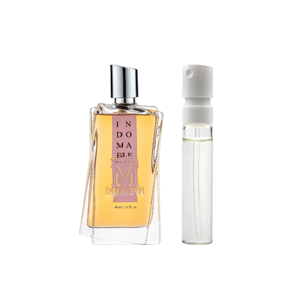 Morph - Indomable - muestra
