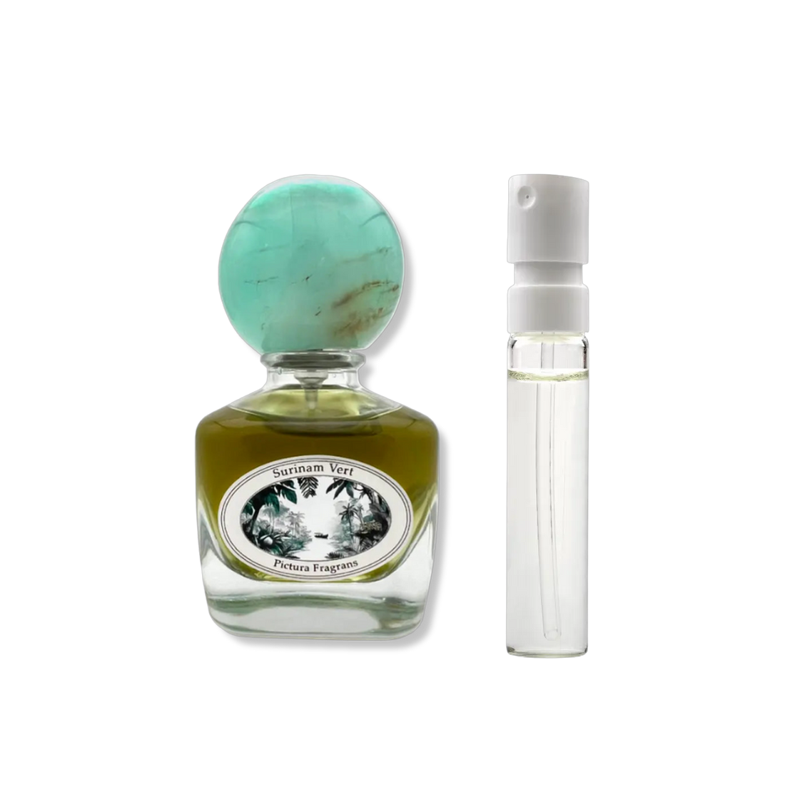 Pictura Fragrans - Surinam Vert - muestra