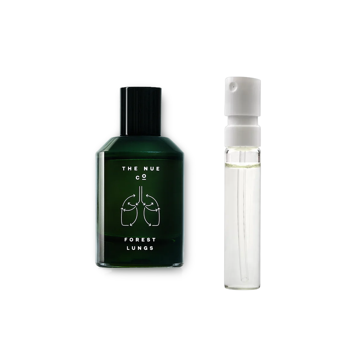 The Nue Co - Forest Lungs - muestra